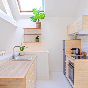 Magnifique En Hypercentre Appartement